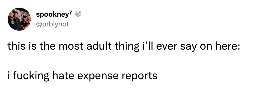 this is the most adult thing i’ll ever say on here:
    i fucking hate expense reports